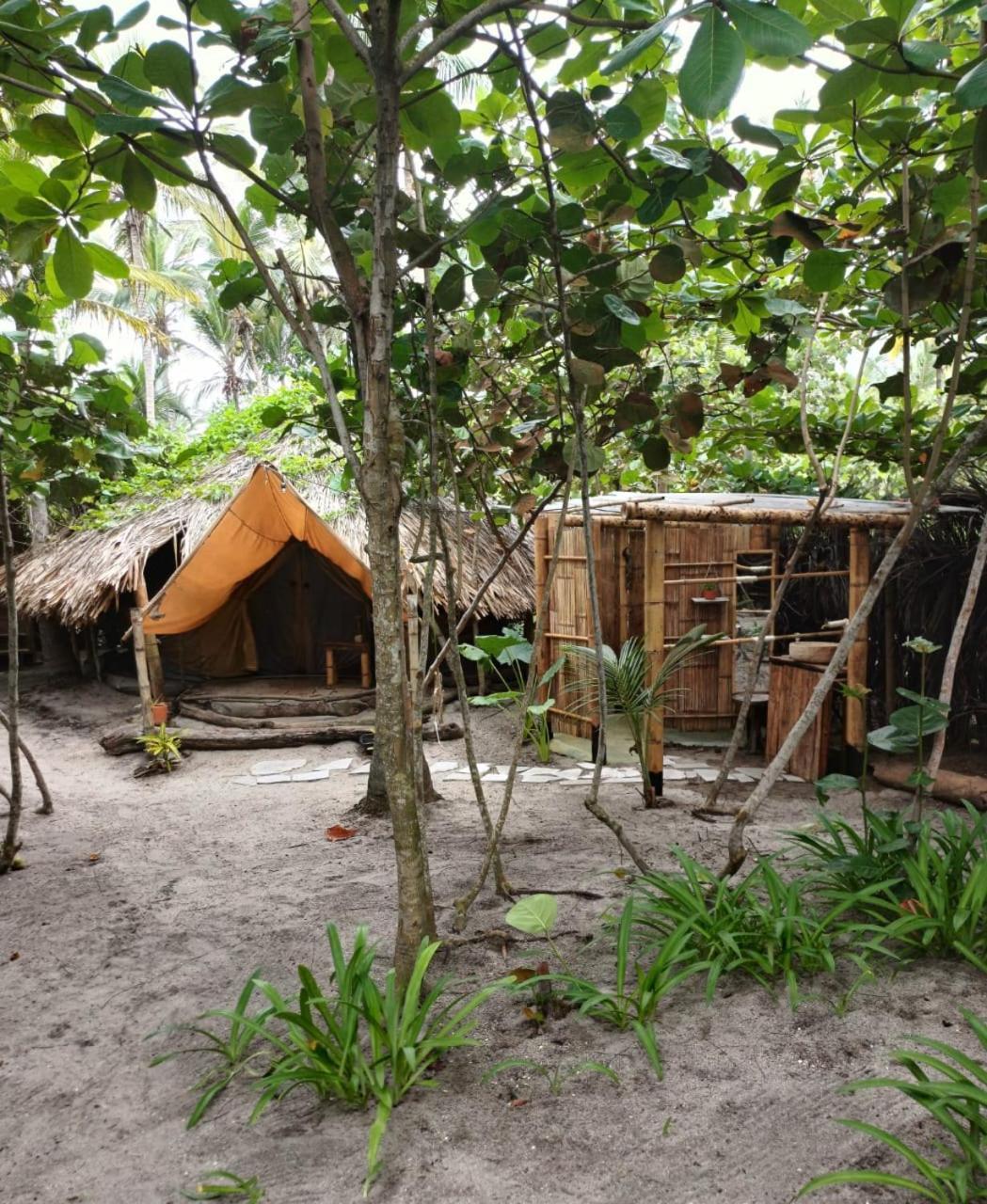 Hotel Lote 10 Glamping Guachaca Exterior foto